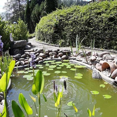 Landhaus Schwaben Schonmunzach ภายนอก รูปภาพ